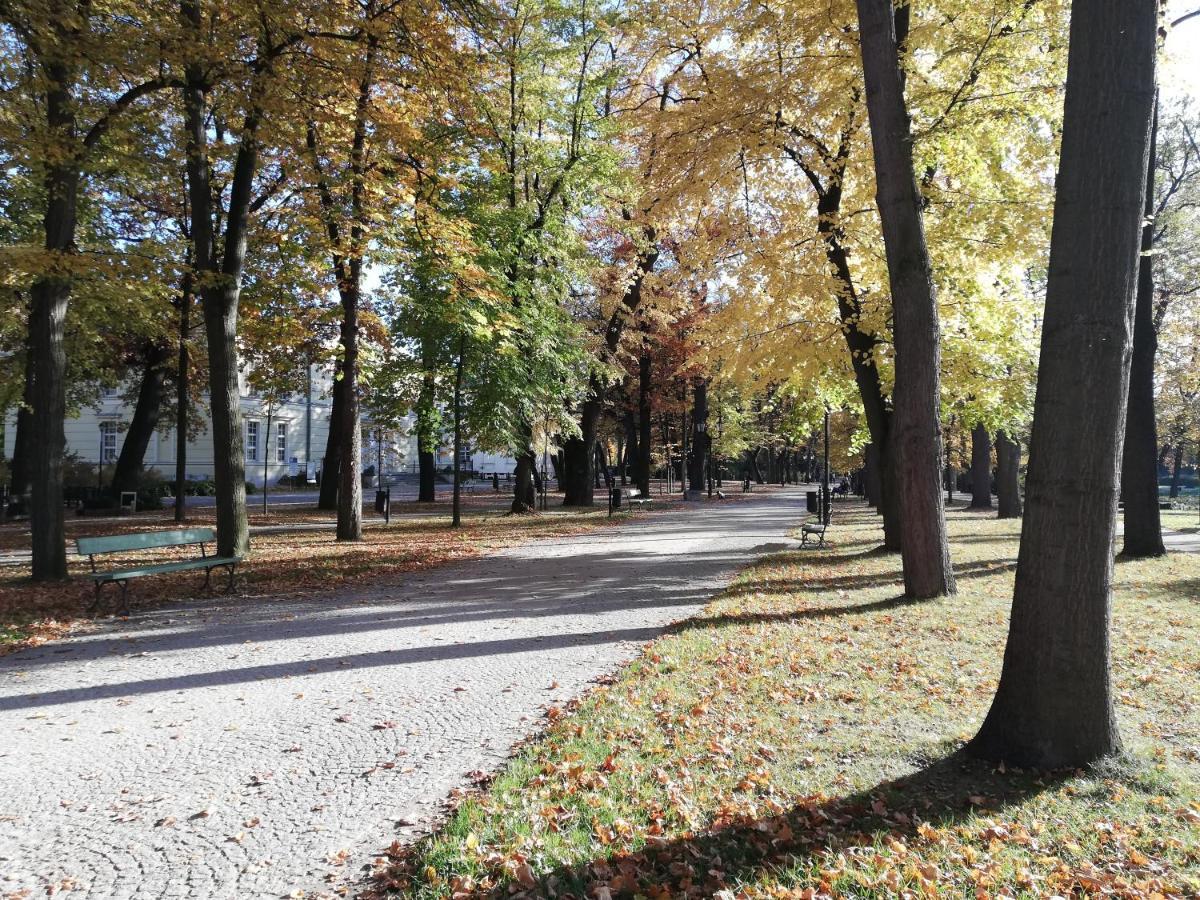 Waniliowe Zacisze Apartment Jelenia Góra Екстериор снимка